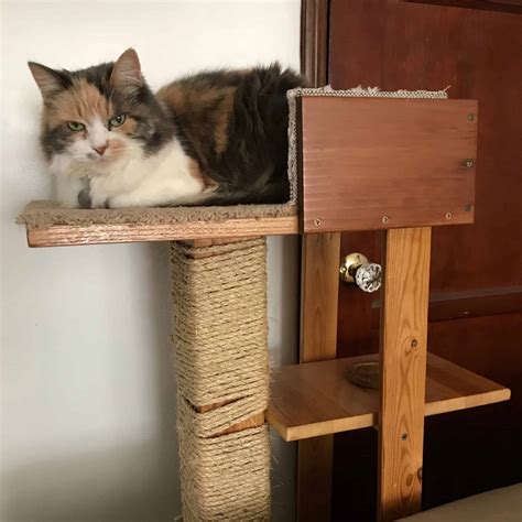 diy shelving to cat tower